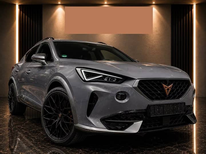 Slika prikazuje vanjsku karoseriju automobila i prednji dio.